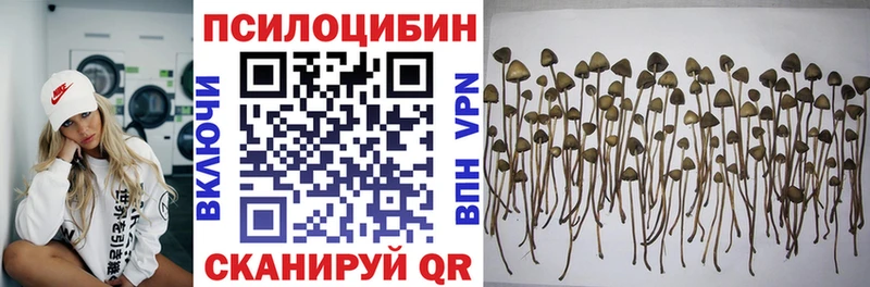 omg ССЫЛКА  Раменское  Псилоцибиновые грибы мухоморы 