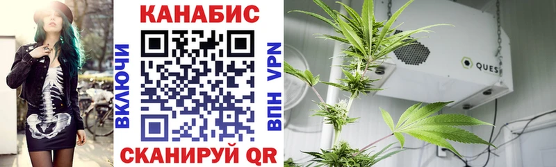 Каннабис тримм  omg как войти  Раменское  магазин  наркотиков 